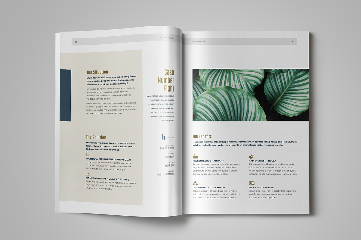 Case Study, a Templates & Theme by StockInDesign (Photo 7 of 8)