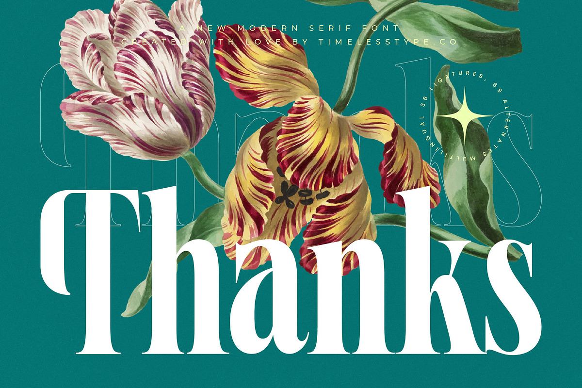 Magiction Modern Serif Display, a Serif Font by timelesstype.co (Photo 20 of 20)