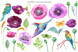 Purple Poppy Watercolor Clipart