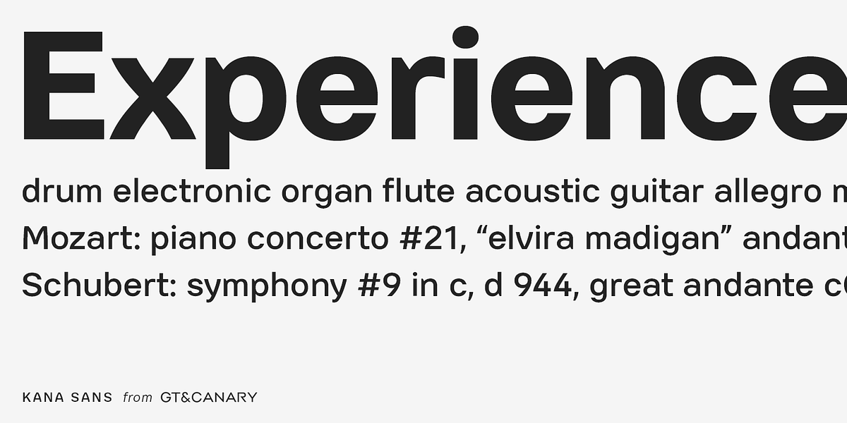 Kana Sans, a Sans Serif Font by GT&CANARY (Photo 6 of 6)