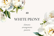 -30% Watercolor Peony Collection, an Object Illustration by bloomscape (Thumbnail 1 of 8)
