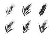 Rustic Wheat Silhouette Design, an Illustration by hafijul (Thumbnail 4 of 9)