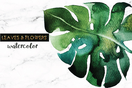 leaves & flowers watercolor+ logos