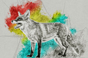 Realistic Pencil Sketch Photoshop, an Action Add-On by MRI STUDIO (Thumbnail 16 of 17)