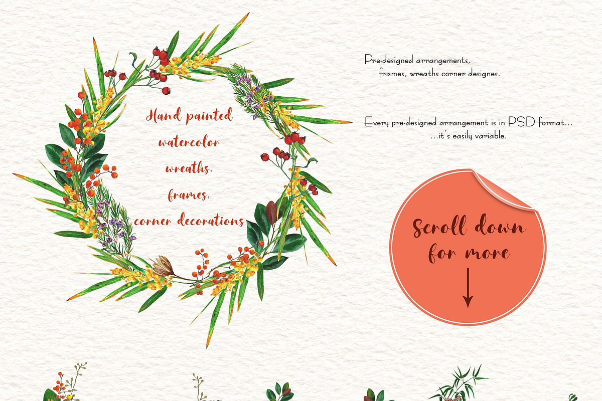 Natural watercolor plants, a Decorative Illustration by OctopusRider (Photo 3 of 9)