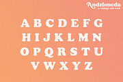 Andromeda // A Vintage Soft Serif, a Serif Font by Megs Lang (Thumbnail 7 of 18)