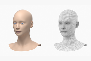 Natural Female Head 01 Generic Mesh