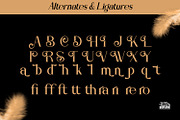 Danderain, a Serif Font by Rishsketch (Thumbnail 12 of 13)