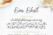 Sea Shell Script, a Script Font by tmcom (Thumbnail 11 of 13)