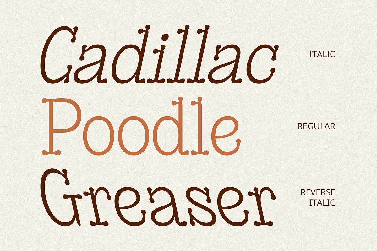 CS Helona – Decorative Font, a Serif Font by Craft Supply Co. (Photo 7 of 8)