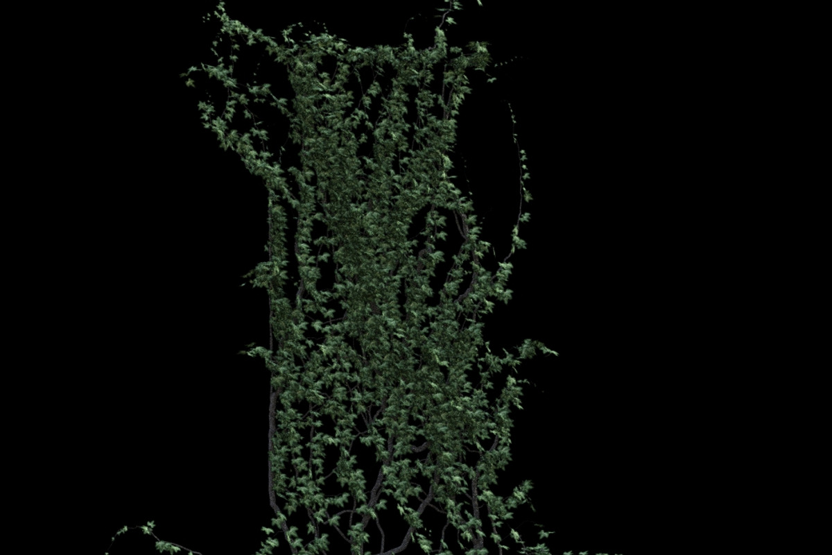 pack Nature, an Object Graphic by FlyOk (Photo 4 of 9)