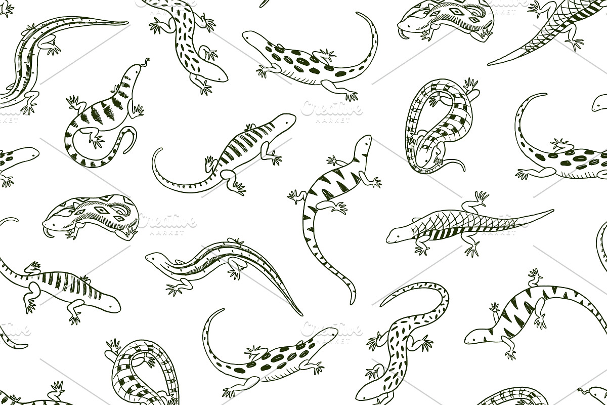 9  Lizards, an Animal Illustration by GooseFrol (Photo 6 of 6)