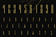 Branch font latin and cyrillic, a Serif Font by Kseniia Kuznetsova (Thumbnail 3 of 5)