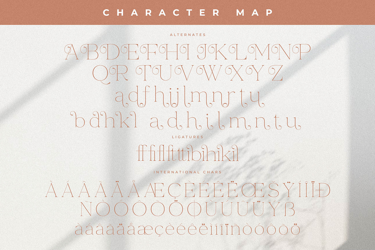 Merliha Modern Serif Font, a Serif Font by Storytype Studio (Photo 14 of 15)