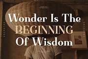 Basfegu A New Display Serif Font, a Serif Font by Storytype Studio (Thumbnail 2 of 15)