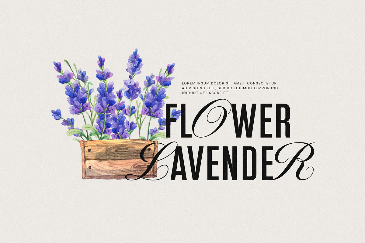 Glamer Modern Calligraphy Sans Serif, a Sans Serif Font by Graphicxell (Photo 4 of 8)