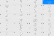 Procreate flower stamp, roses brush, a Brush Add-On by AnnaPolitmerskaja (Thumbnail 3 of 4)