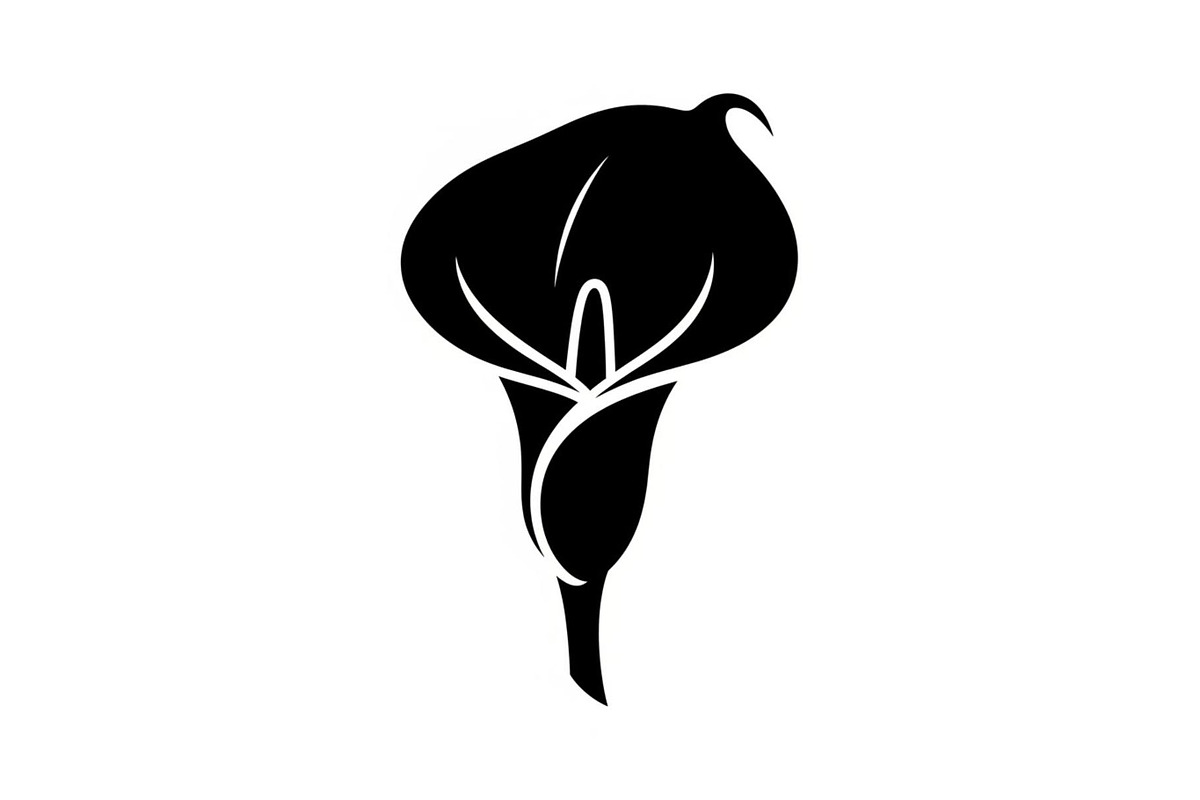Black Lily Flower Vector Bundle, an Illustration by Designs_River (Photo 43 of 51)