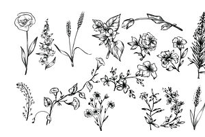 Flowers And Leaves Handdrawn