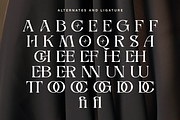 Alverich - Modern Serif Font, a Serif Font by Comactype Foundry (Thumbnail 22 of 22)