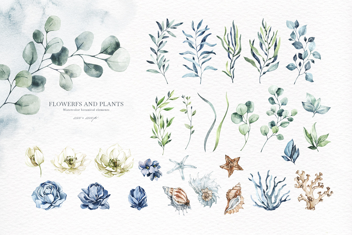 OCEANIA Watercolor set, an Animal Illustration by Anastezia Luneva (Photo 3 of 12)
