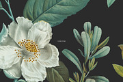 Botanical Elegant English Pattern, an Illustration by likorbut (Thumbnail 9 of 9)