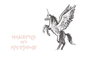 Illustrations Of Unicorns