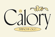 CS Calory – Elegant Font, a Serif Font by Craft Supply Co. (Thumbnail 1 of 8)