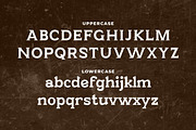 Beckland Serif Font Family, a Serif Font by Artiveko (Thumbnail 4 of 8)