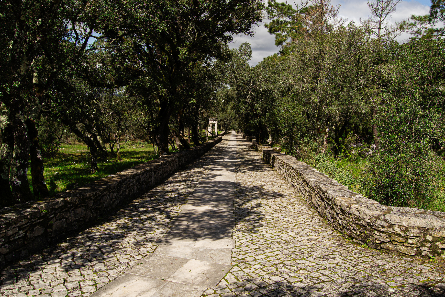 Stone path through shaded trees in Fatima, Portugal, surrounded by ...