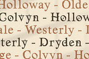 Goldenrod – Medieval Decorative, a Serif Font by Typehand Studio (Thumbnail 8 of 10)