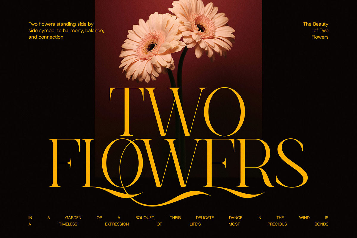 Last Rucyka Stylish Serif Font, a Serif Font by Graphicxell (Photo 3 of 8)