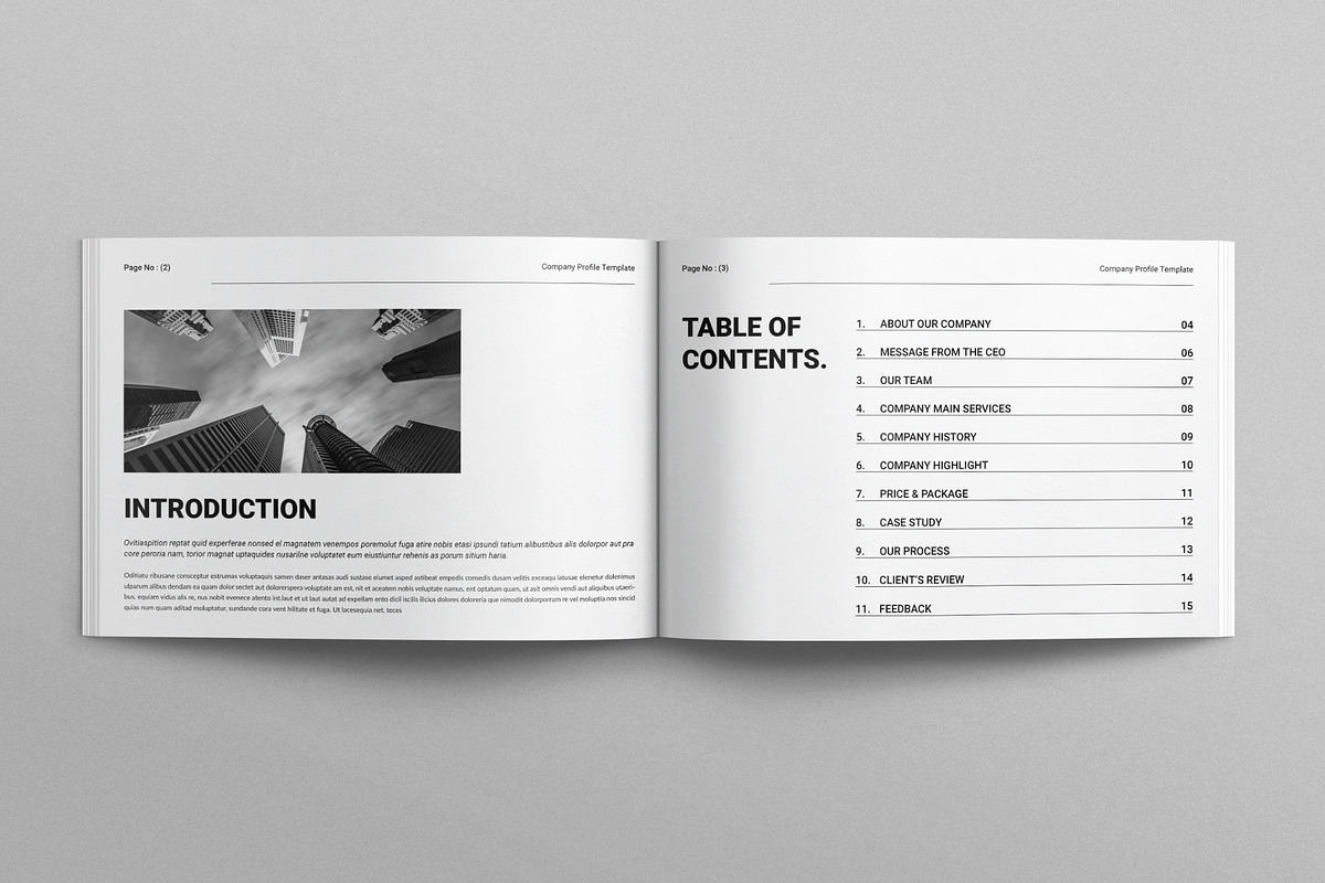 Company Profile Template, a Brochure Template by E-Type (Photo 2 of 7)