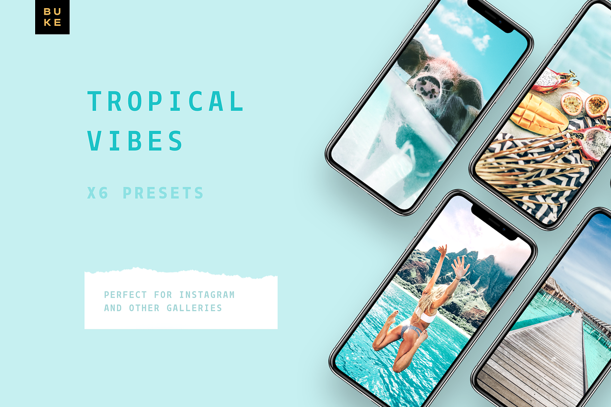 Tropical Lightroom Presets Bundle preview 2
