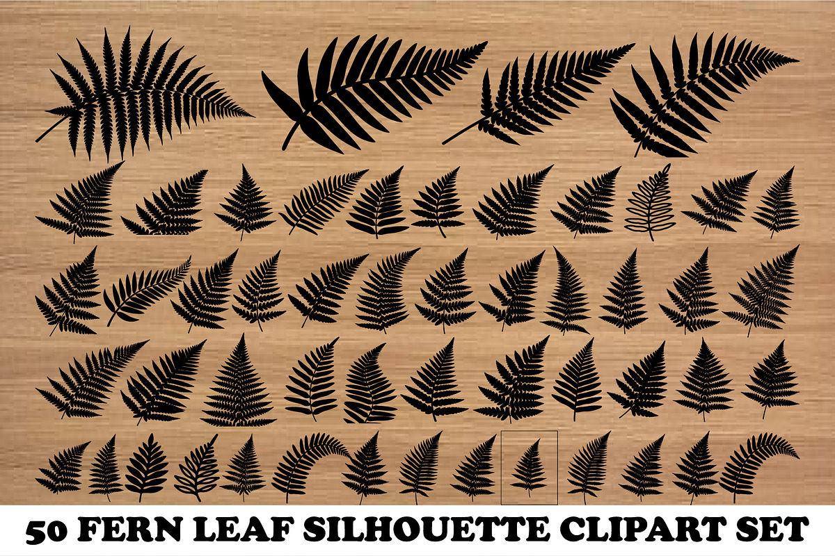 50 Fern Leaf Silhouette Clipart Set, an Illustration by Artivon (Photo 1 of 4)
