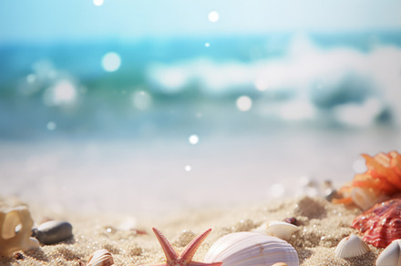 Landscape with seashells on tropical beach - summer holiday, a Holiday Photo by Natalia Klenova's Shop