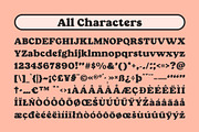CS Chery – Bold Font, a Serif Font by Craft Supply Co. (Thumbnail 8 of 8)