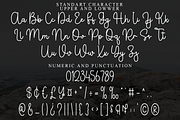 Pauline Script, a Handwritten Font by FreshTypeINK (Thumbnail 6 of 8)