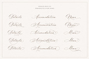La Rumba - Modern Calligraphy Font, a Font by Blessed Print (Thumbnail 17 of 20)
