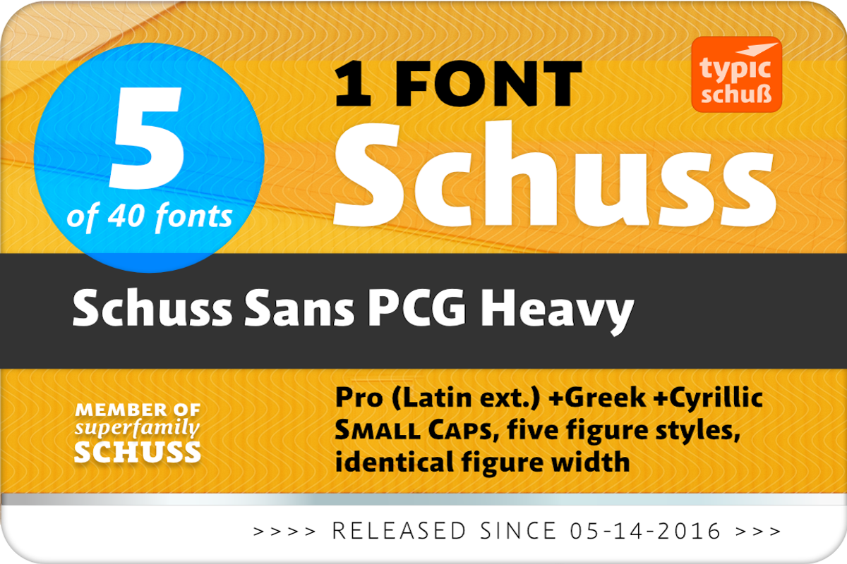 SchussSansPCGHeavy No.05 (1 Font) preview 2