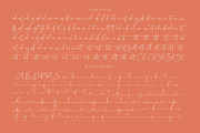 Starhontis Clentiona Stylish Font, a Script Font by stylishtype.co (Thumbnail 19 of 20)