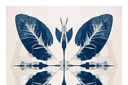 Cybo Collection · Cyanotype Botanics, a Texture Illustration by milatovar (Thumbnail 19 of 19)