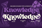Dreamer Vintage Serif, a Serif Font by Fenotype (Thumbnail 7 of 14)