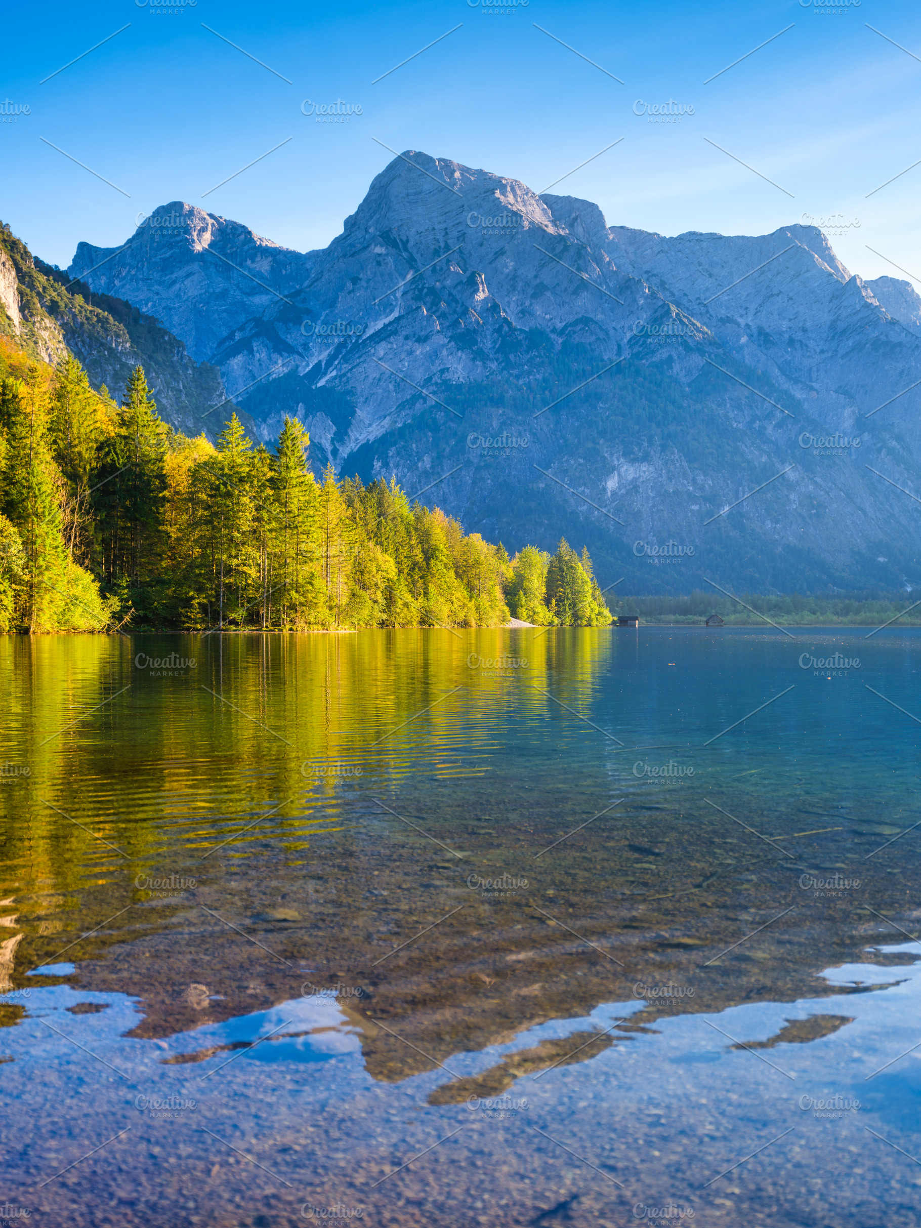 The forest near the water., a Nature Photo by Landscape and travel