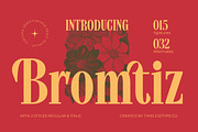 Bromtiz Elegant Vintage Serif, a Serif Font by timelesstype.co (Thumbnail 1 of 15)