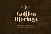 Bethari Font Display (70% Off), a Font by Sundance Tipografia (Thumbnail 7 of 10)