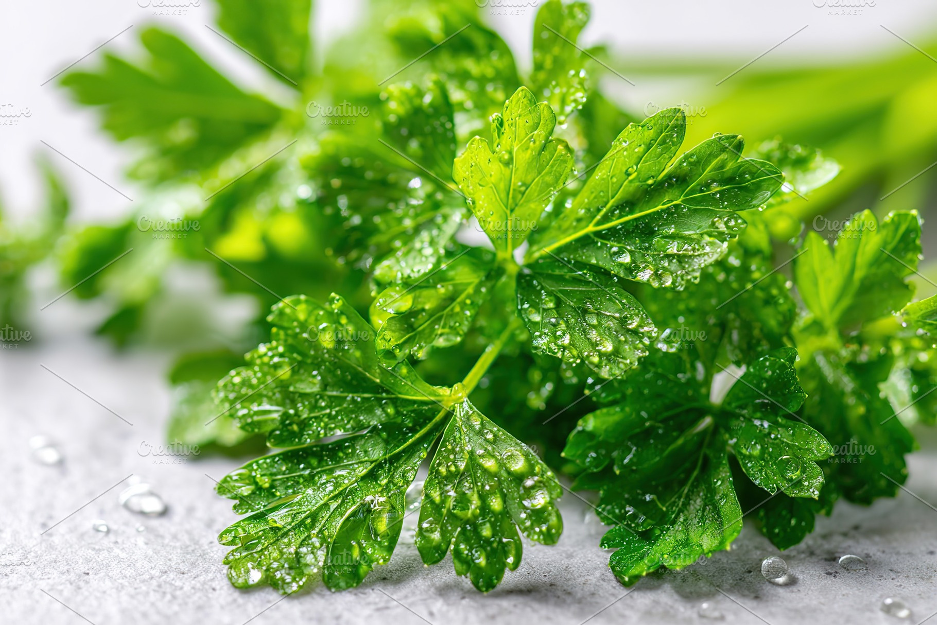 Fresh green parsley bunch with water droplets resting on a clean surface, a Food & Drink Photo by AlyaAnd