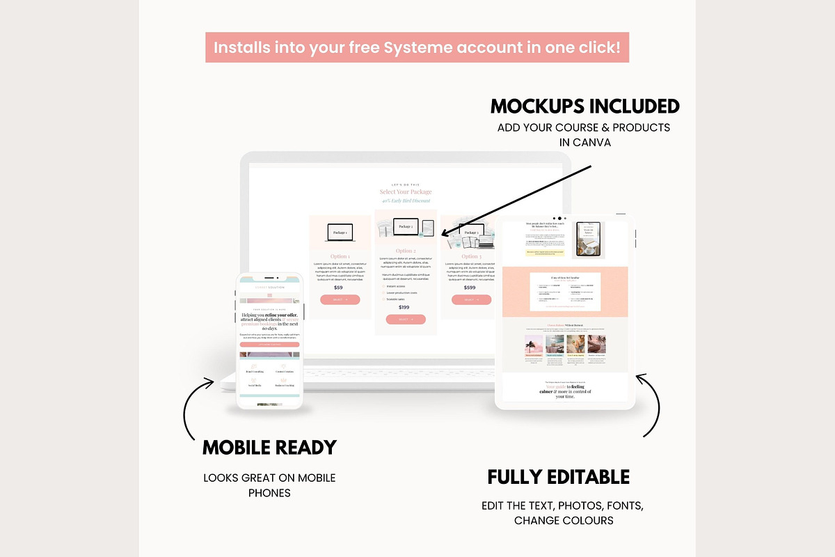 Systeme.io Sorbet Solution Blog, a Landing Page Template by Hayley's Digital Hub (Photo 4 of 10)