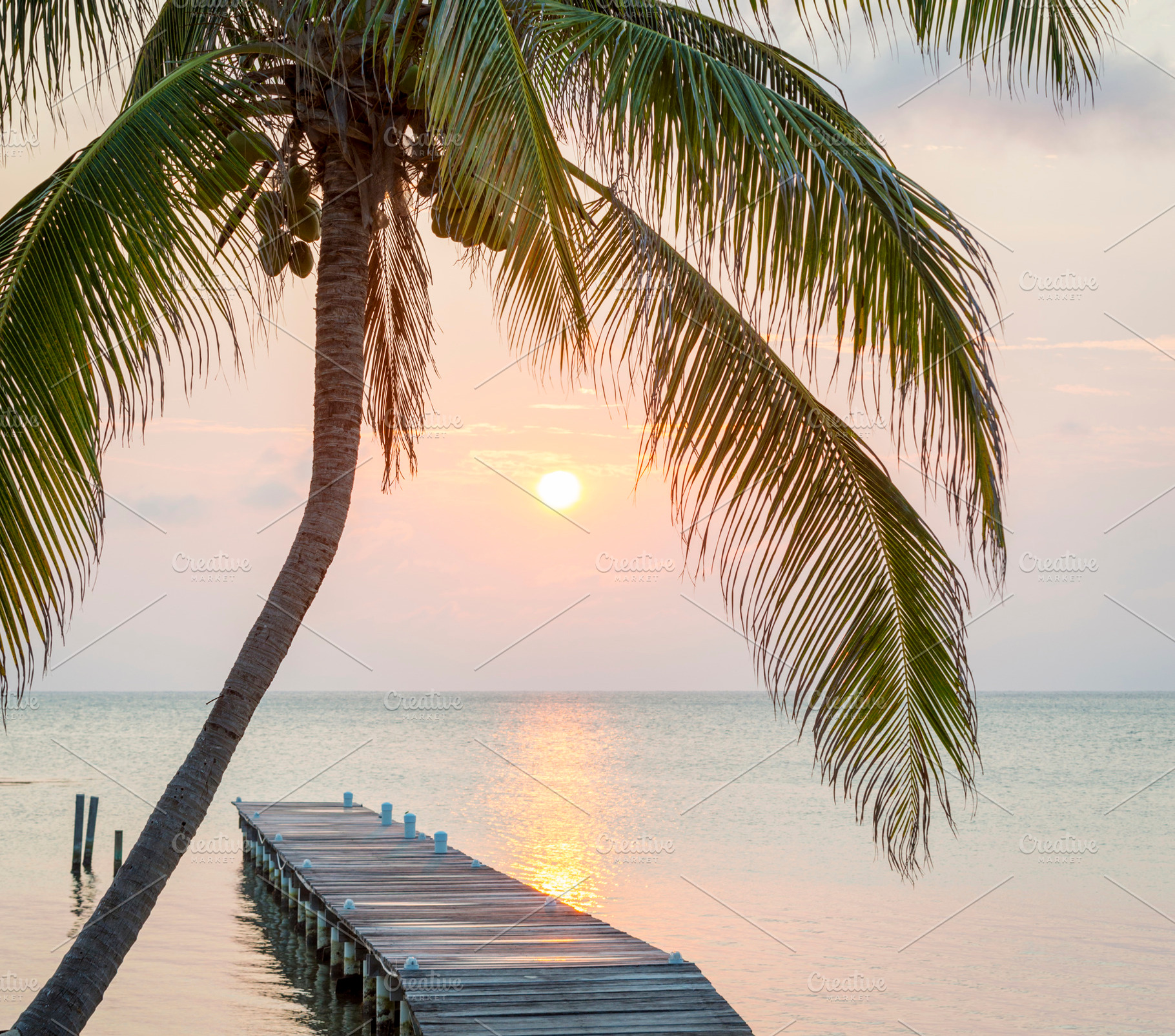 Tropical Sunrise Jetty, a Photo by THP Creative