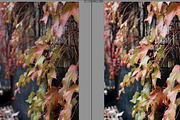 A6 VSCOCam preset, an Action Add-On by Alena Ermakova (Thumbnail 9 of 15)